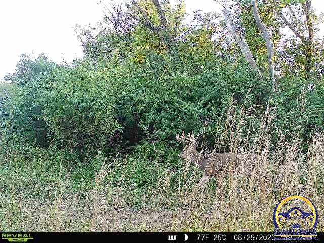 5721-1 Northwest Humphrey Road Topeka, KS 66618 - Photo 82 of 94
