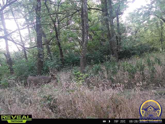 5721-1 Northwest Humphrey Road Topeka, KS 66618 - Photo 84 of 94