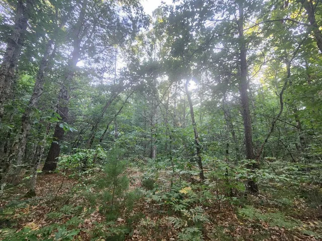 $152,500 | V/l V/l Whitmire Road, Holton, MI 49425