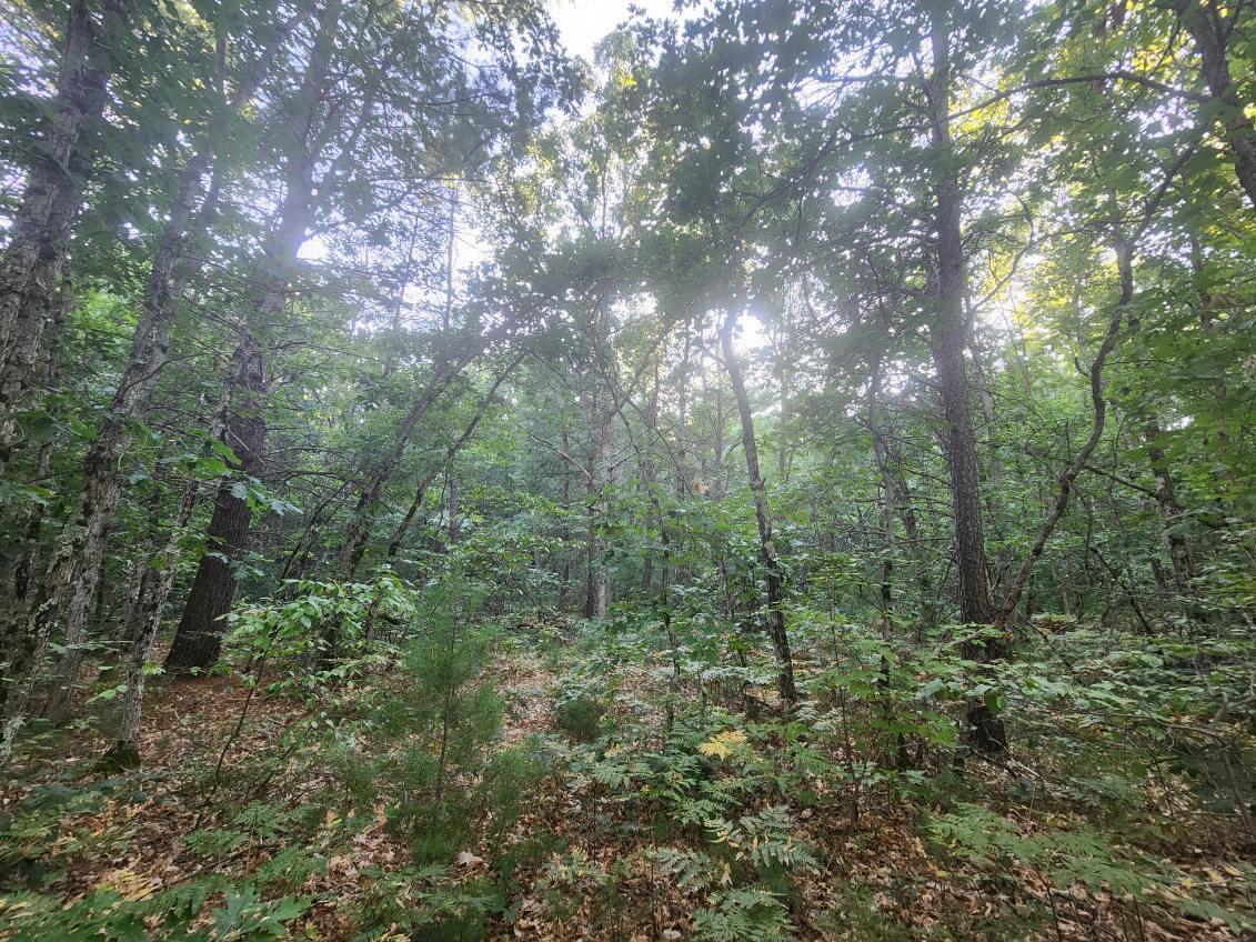 V/l V/l Whitmire Road Holton, MI 49425 - Photo 2 of 10 image000002 (12)