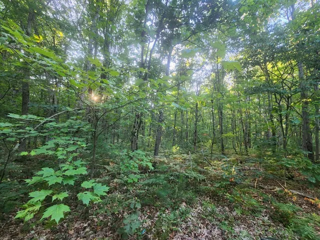 $152,500 | V/l V/l Whitmire Road, Holton, MI 49425