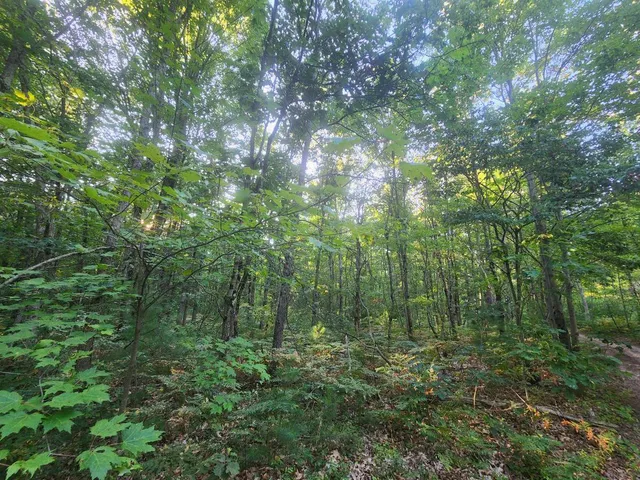 $152,500 | V/l V/l Whitmire Road, Holton, MI 49425