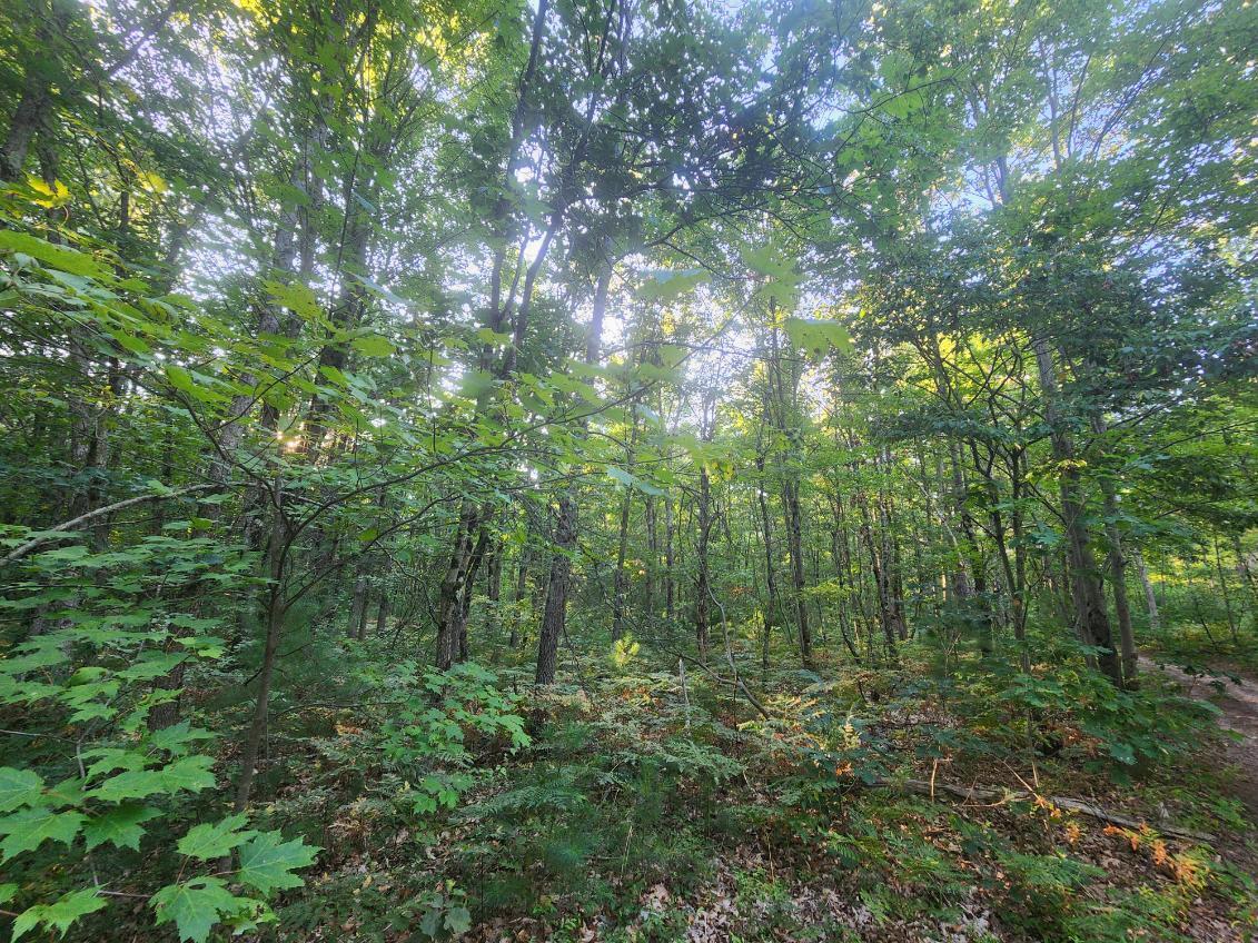 V/l V/l Whitmire Road Holton, MI 49425 - Photo 4 of 10 image000000 (12)