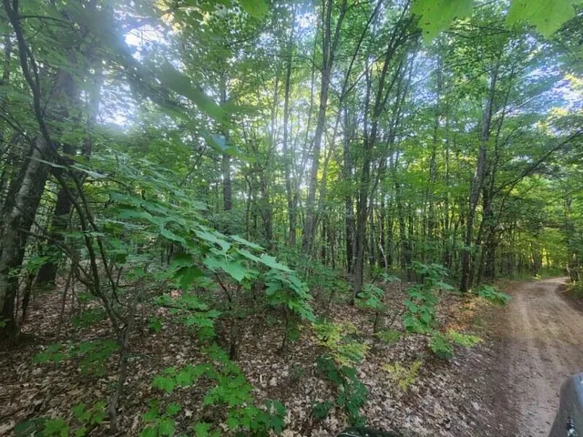 $152,500 | V/l V/l Whitmire Road, Holton, MI 49425