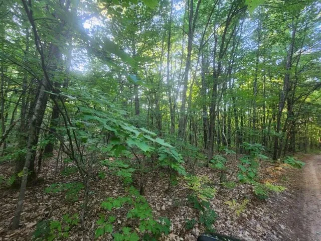 $152,500 | V/l V/l Whitmire Road, Holton, MI 49425