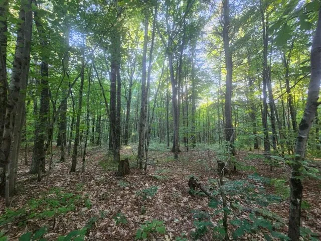 $152,500 | V/l V/l Whitmire Road, Holton, MI 49425