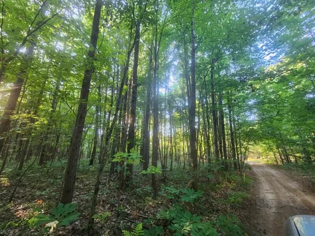 $152,500 | V/l V/l Whitmire Road, Holton, MI 49425