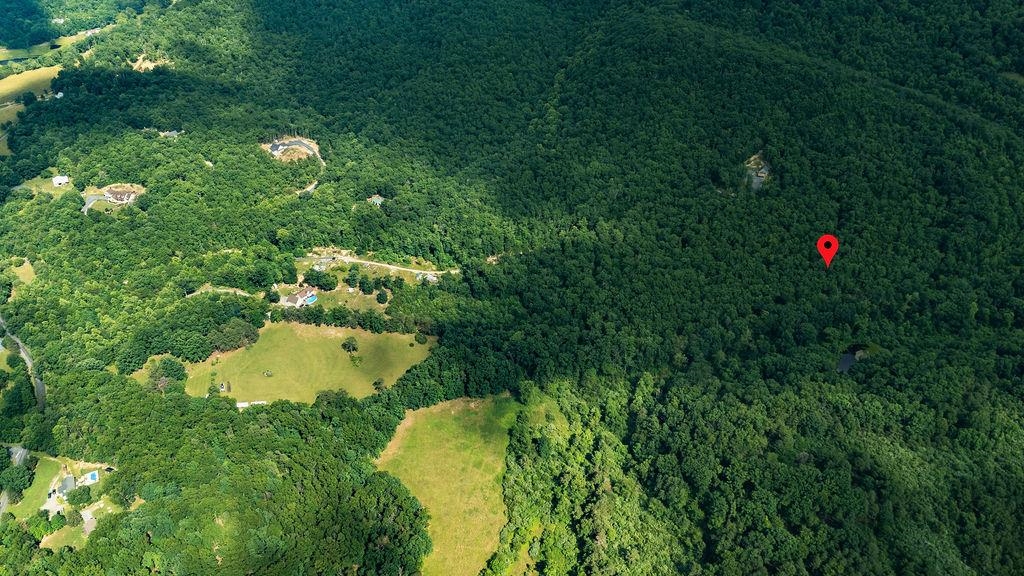 Tbd Calf Mountain Road Waynesboro, VA 22980 - Photo 12 of 36