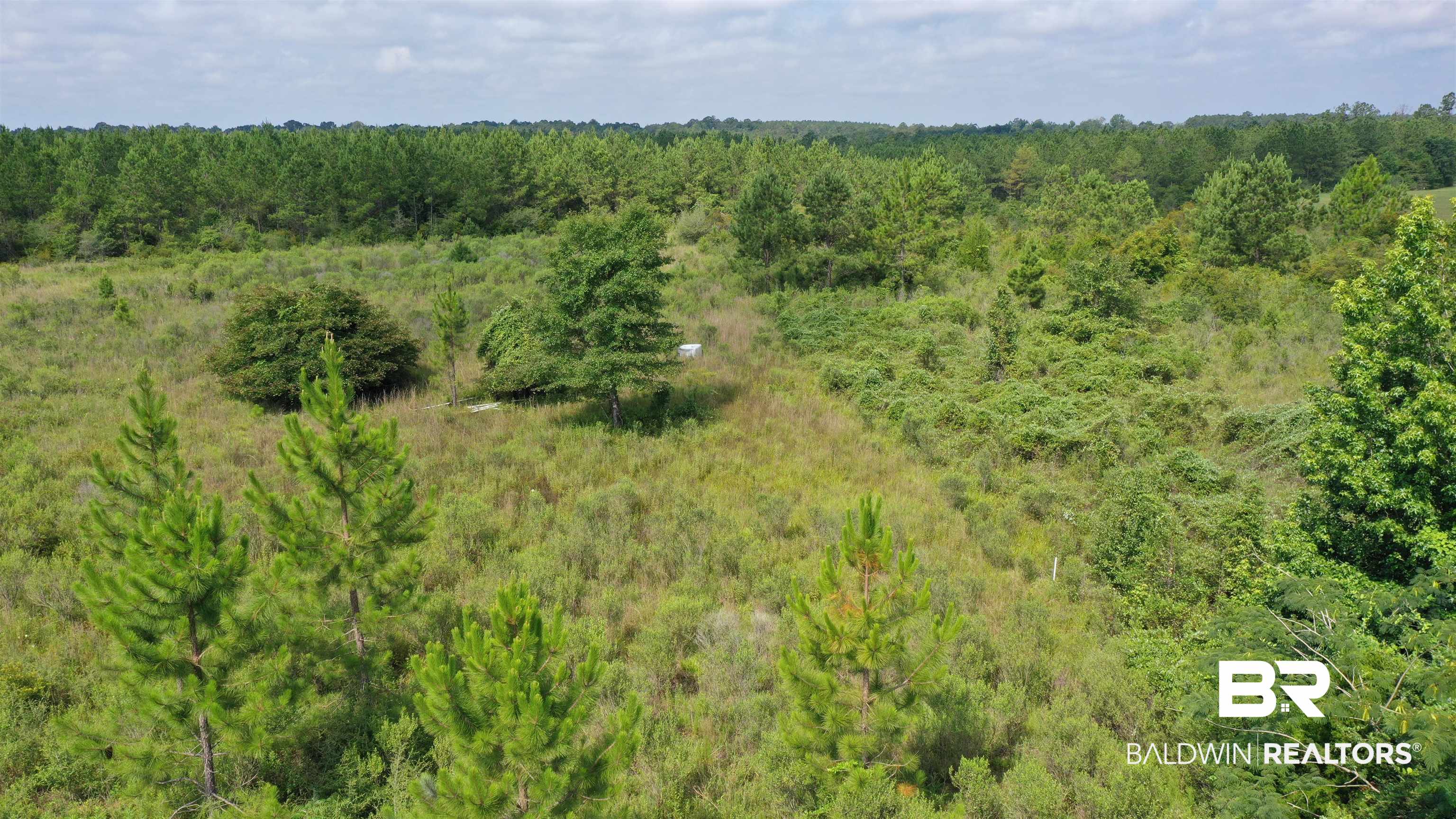 0 Highway 113 Flomaton, AL 36441 - Photo 17 of 24 View of landscape