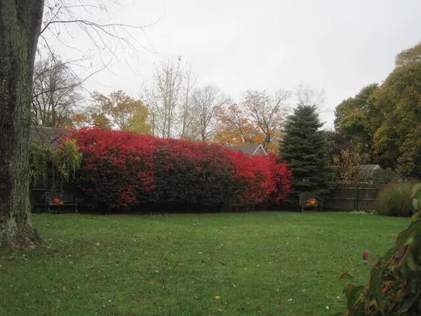 $525,000 | 519 East Spruce Street, Marshall, MI 49068