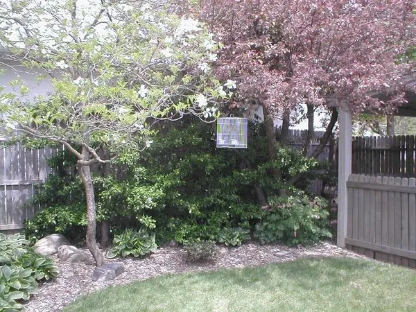 $525,000 | 519 East Spruce Street, Marshall, MI 49068