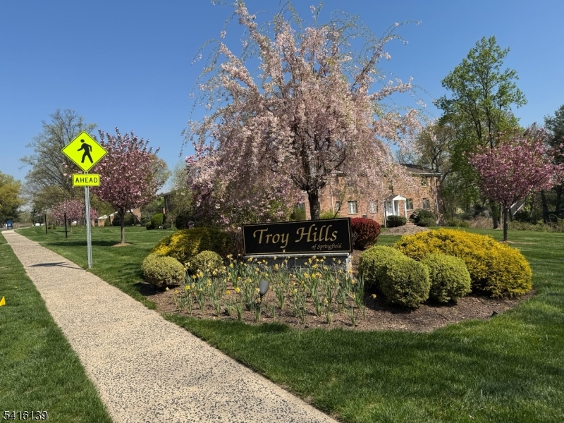10 Troy Drive, Unit 10A Springfield, NJ 07081 - Photo 22 of 23 a view of a park with plants and large trees