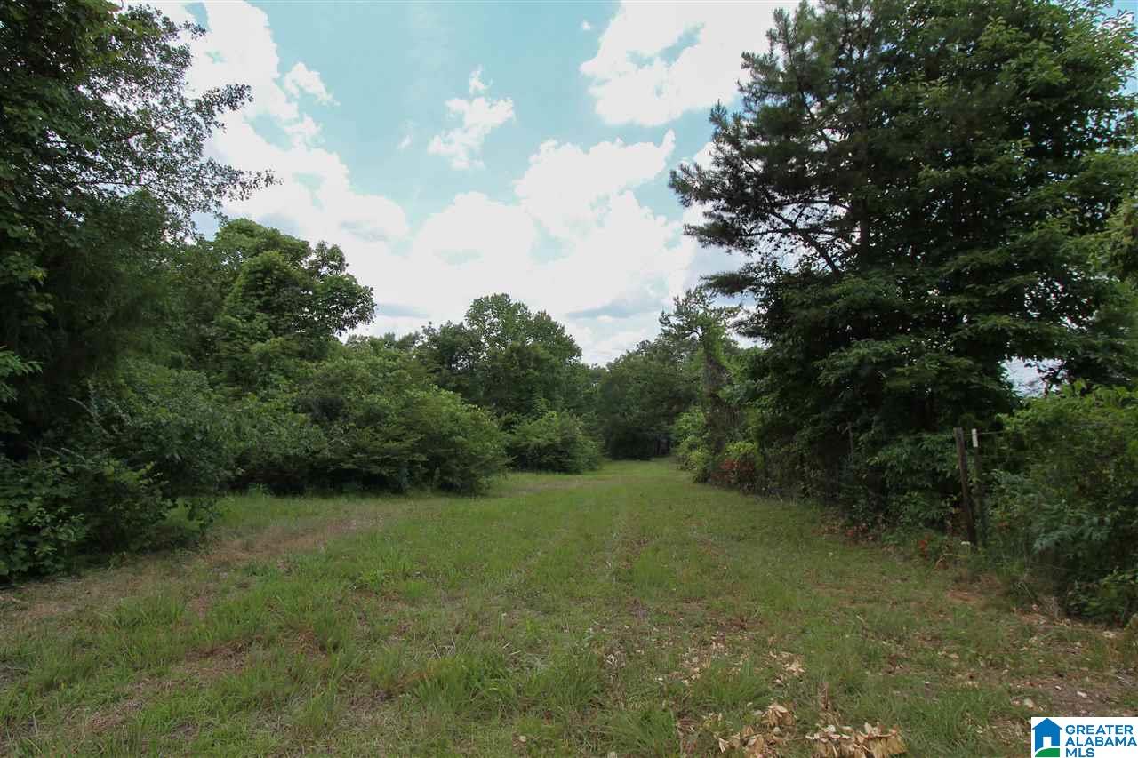 331 Powell Road Remlap, AL 35133 - Photo 30 of 47 Gallery Image 30
