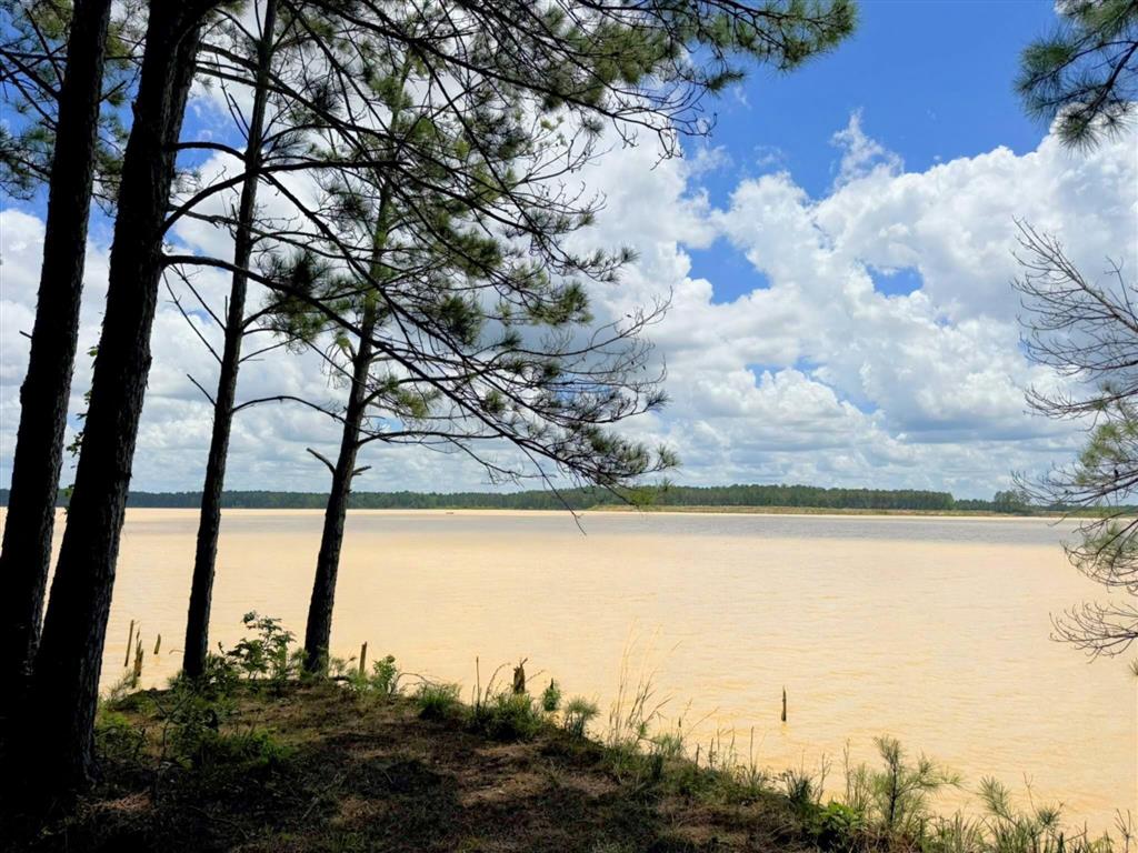 Tbd Parish Line Road Kinder, LA 70648 - Photo 4 of 10