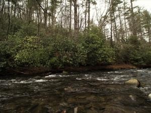 0 Tellico River Road Tellico Plains, TN 37385 - Photo 1 of 1 Gallery Image 1