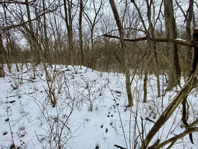 $37,000 | 0 North Summerhill Drive, Albany, IN 47320