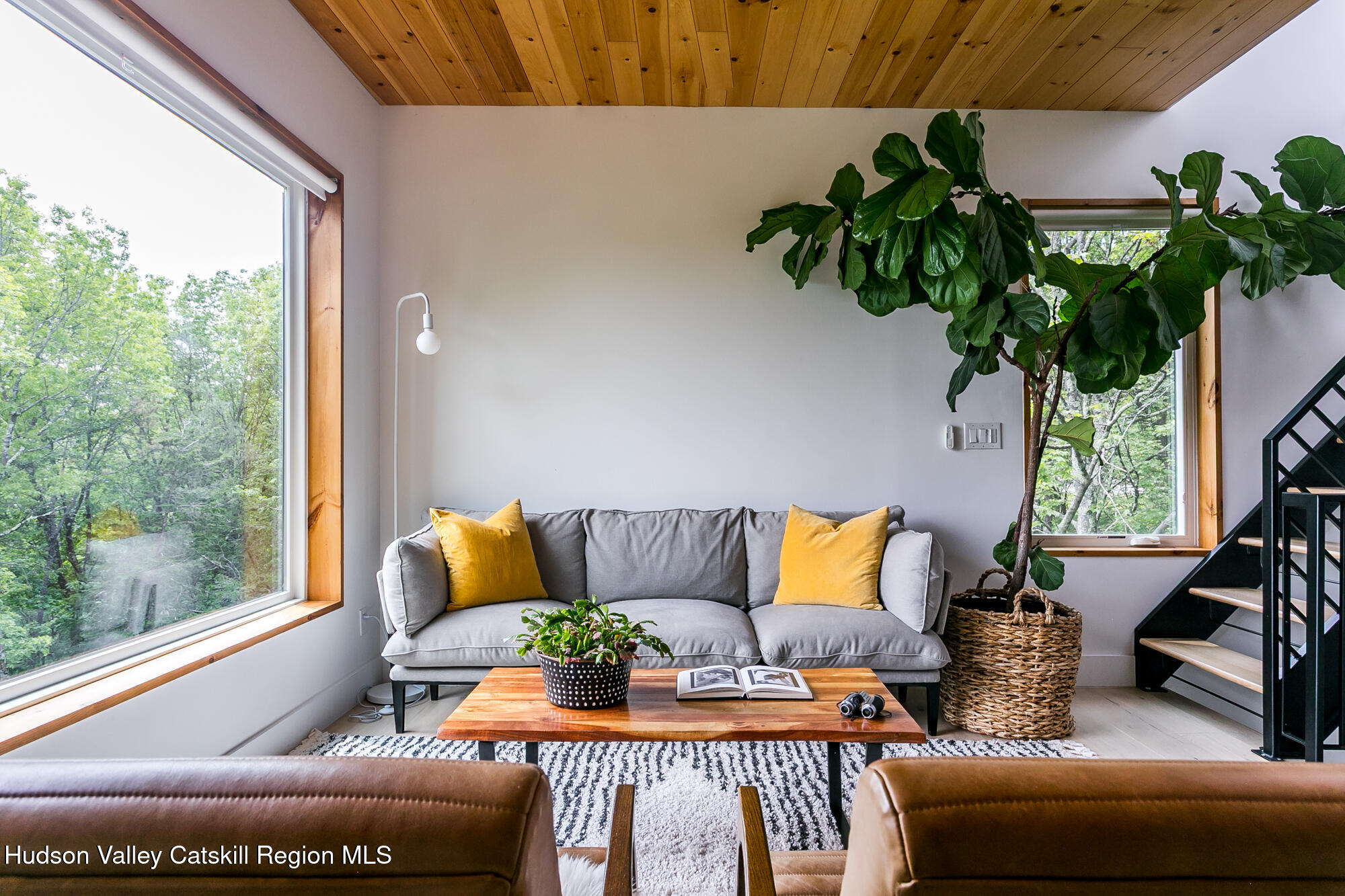 22 Skinner Road Catskill, NY 12414 - Photo 22 of 30 skinner.living room couch with plant