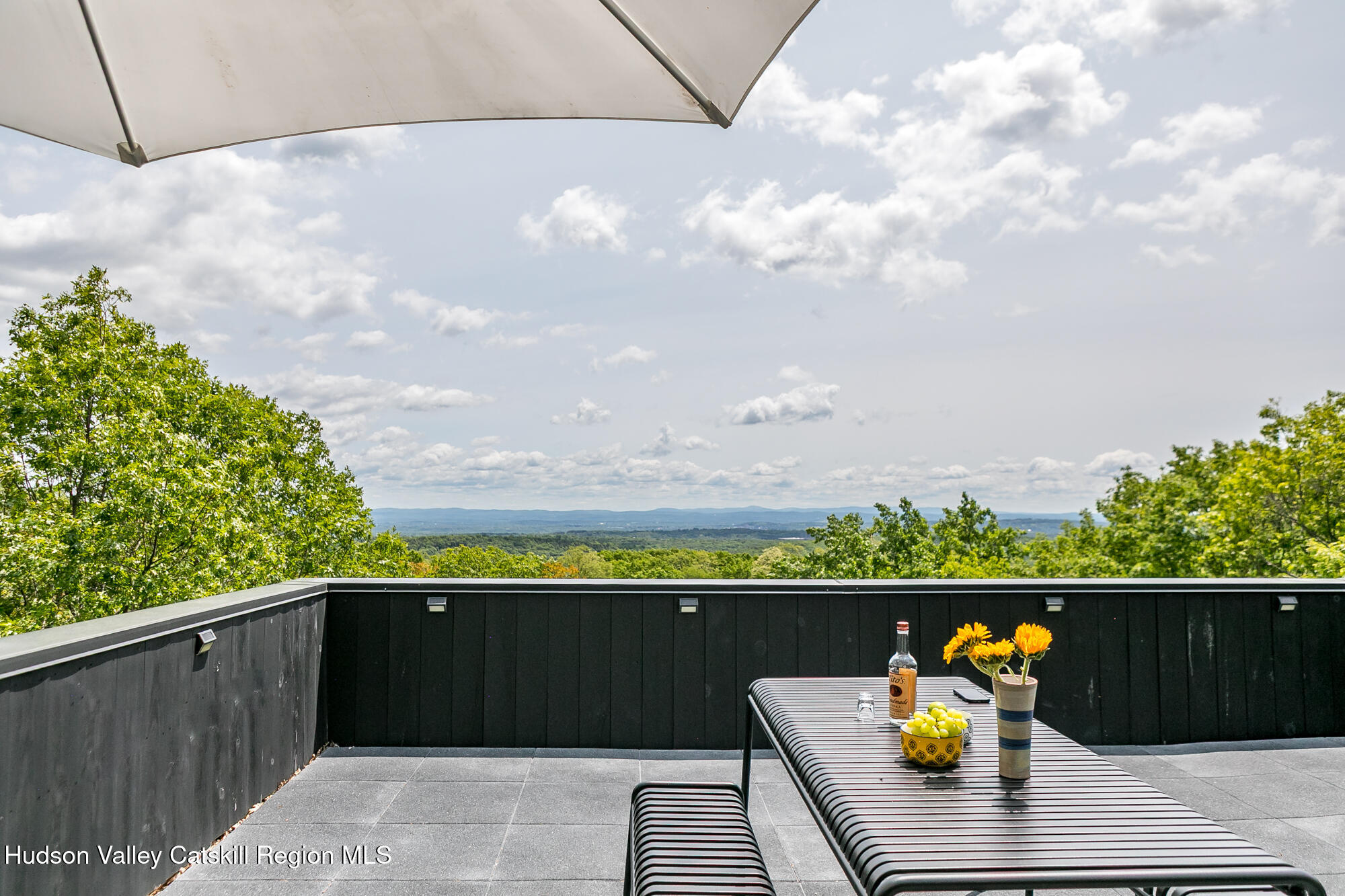 22 Skinner Road Catskill, NY 12414 - Photo 24 of 30 skinner. rooftop deck with view