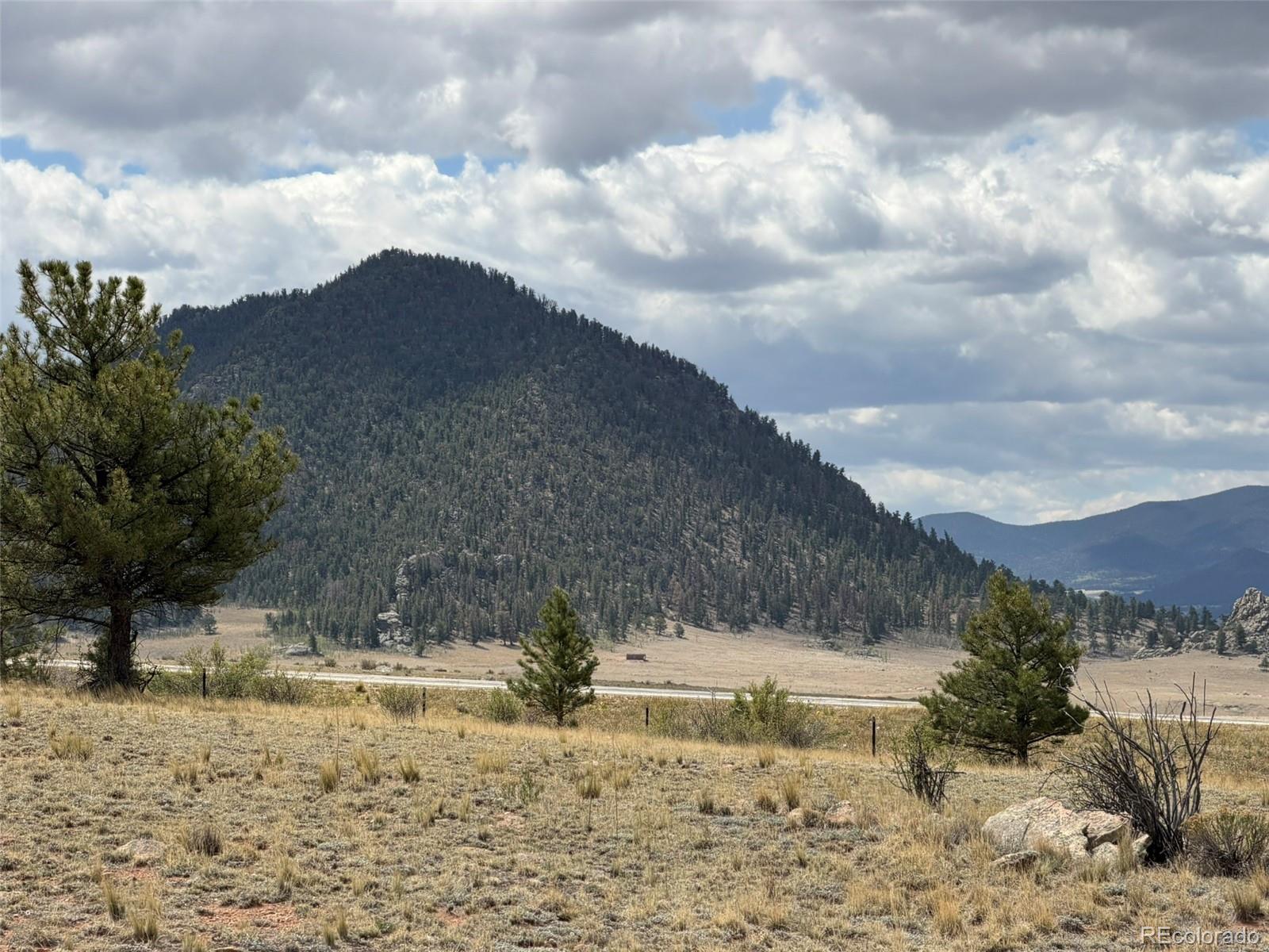 42 Turner Gulch Road Lake George, CO 80827 - Photo 21 of 23 a view of a yard with snow on the road