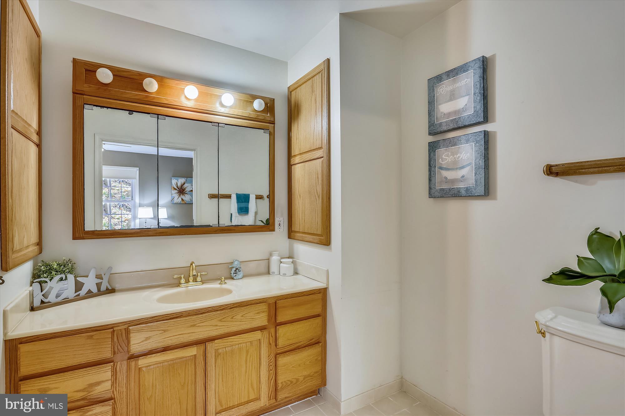 16620 Bethayres Road Derwood, MD 20855 - Photo 33 of 80 Main level Bath in addition (wheelchair accessible