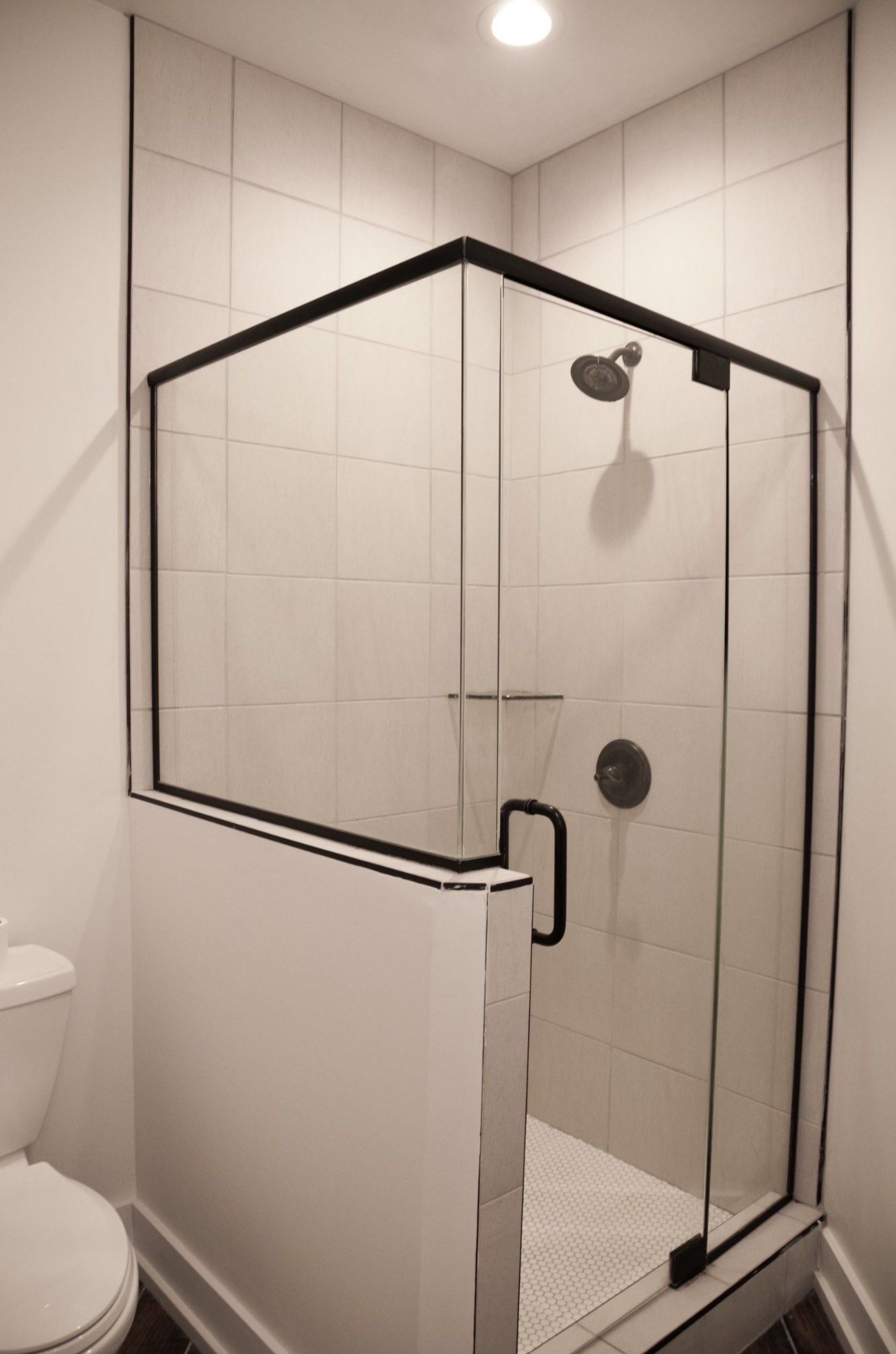 5931 Lakeview Road Springfield, TN 37172 - Photo 44 of 55 a bathroom with a shower and a toilet