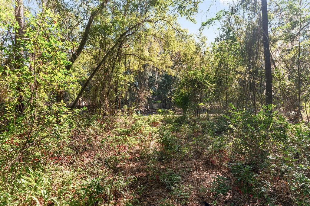 8305 Southwest 46 Lane Gainesville, FL 32608 - Photo 54 of 65