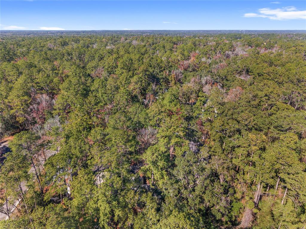 8305 Southwest 46 Lane Gainesville, FL 32608 - Photo 62 of 64