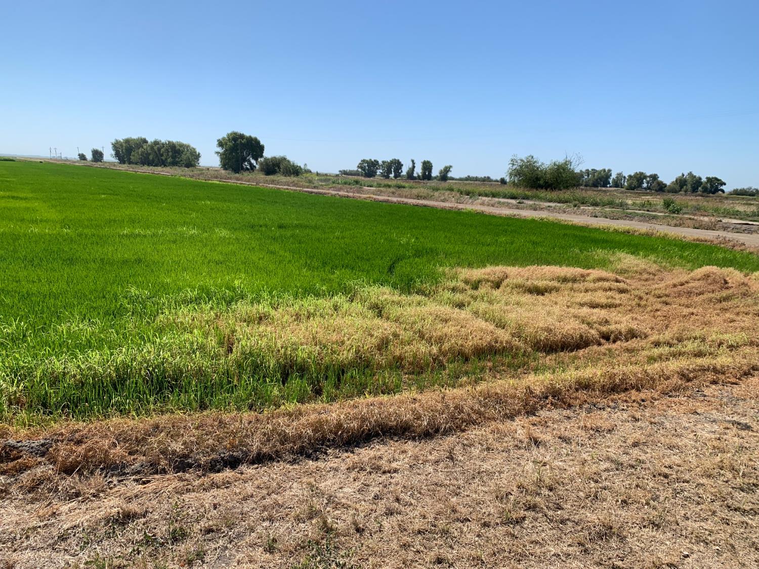 0 10658 Fasig Road Meridian, CA 95957 - Photo 4 of 11