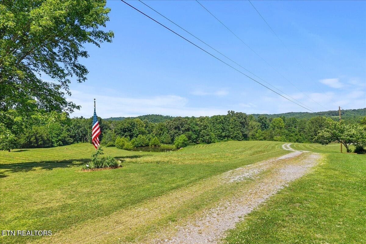 910 Reagan Valley Road Tellico Plains, TN 37385 - Photo 14 of 58 Gallery Image 14