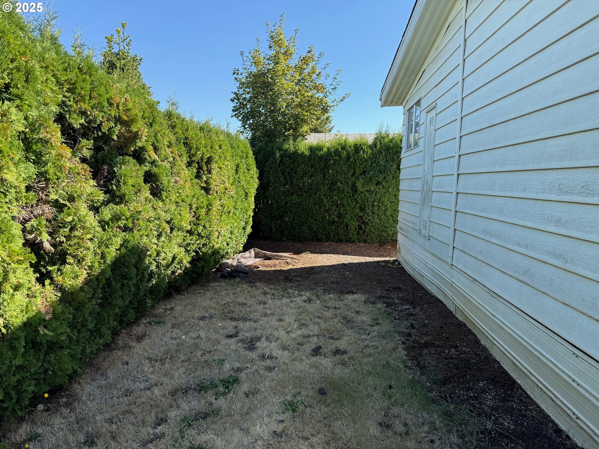 5422 Portland Road Northeast, Unit 47 Salem, OR 97305 - Photo 43 of 45 a view of backyard