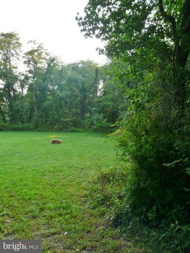 7224 Gilardi Road Boonsboro, MD 21713 - Photo 24 of 30 a view of a green field with a tree
