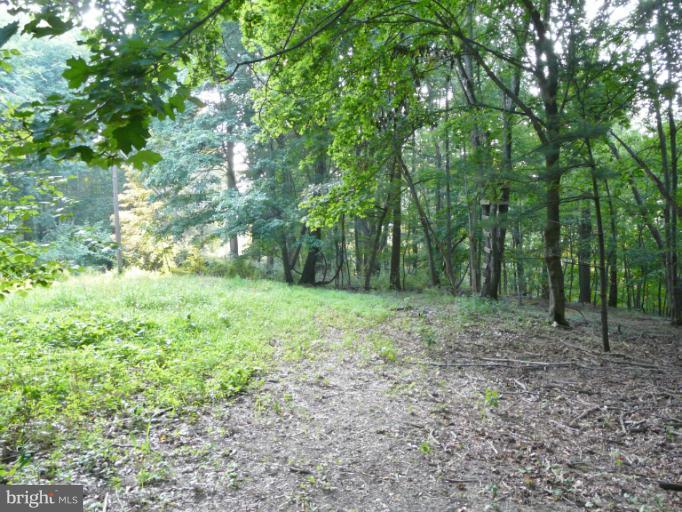 7224 Gilardi Road Boonsboro, MD 21713 - Photo 28 of 30 a view of outdoor space and green space