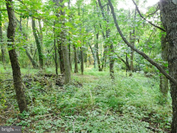 7224 Gilardi Road Boonsboro, MD 21713 - Photo 7 of 30 a view of outdoor space and green space