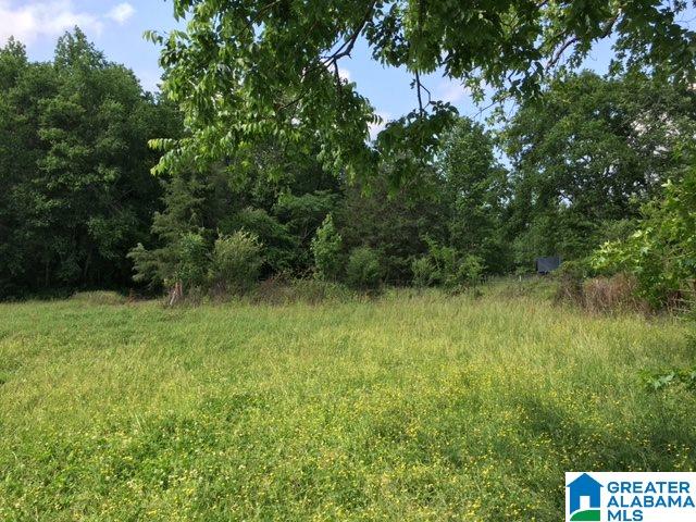 37-acres Joy Road, Unit 37 ACRES Hayden, AL 35079 - Photo 4 of 17
