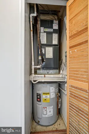 a potted plant sitting in front of a house