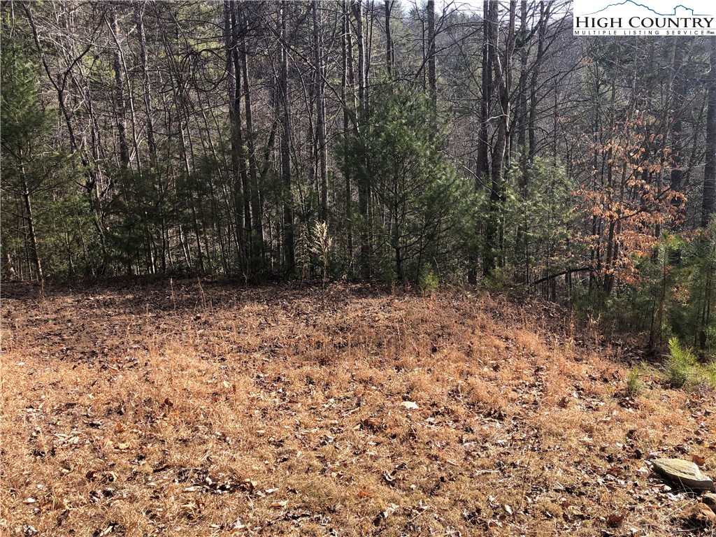 Lot 6 Buck Mountain Road Purlear, NC 28665 - Photo 7 of 30 a view of backyard with tree