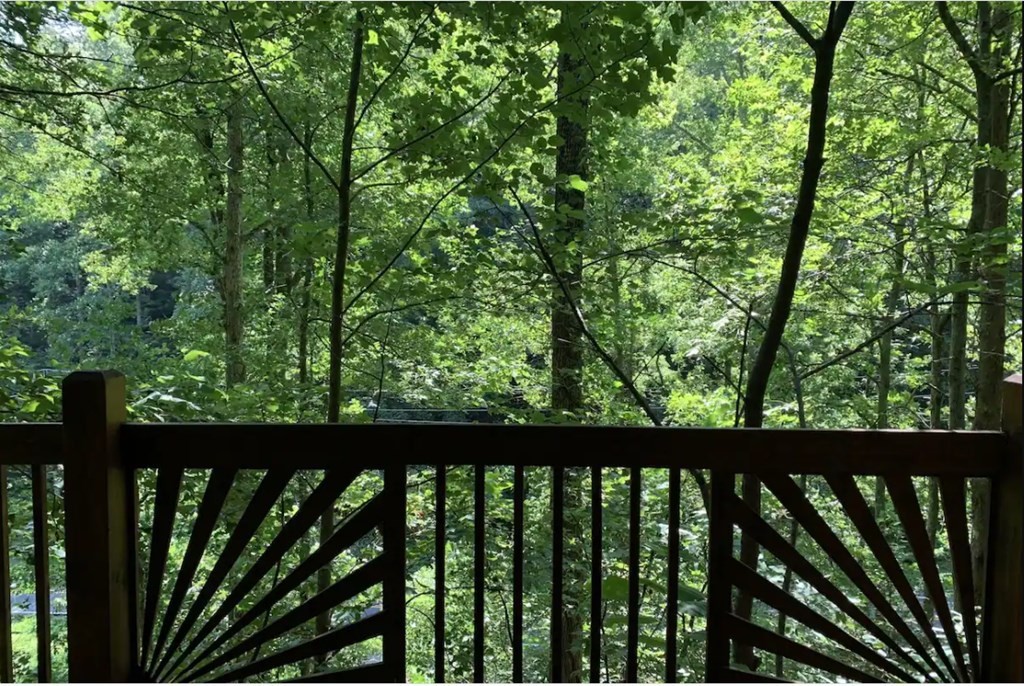 1119 Pine Mountain Road Sevierville, TN 37862 - Photo 13 of 16 Gallery Image 13