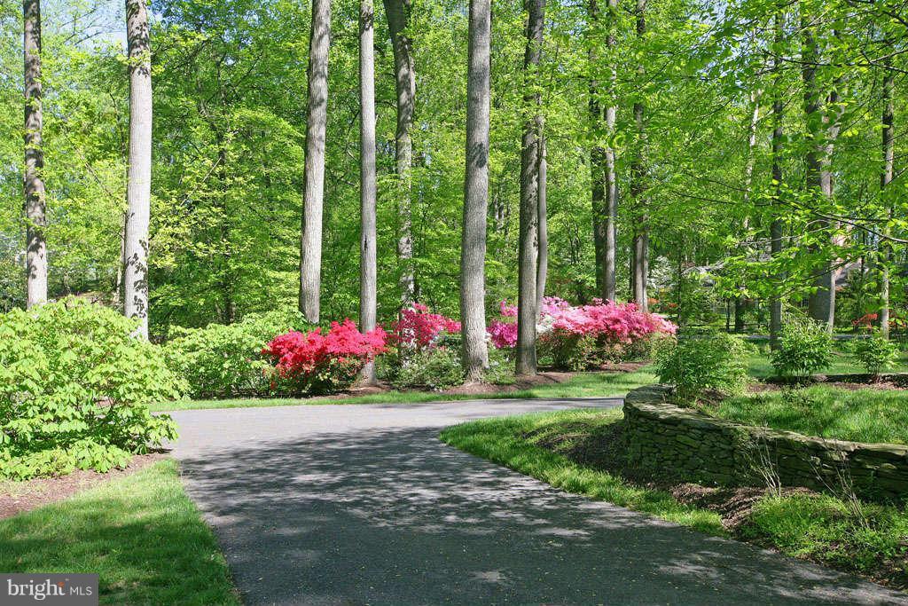 10820 Lockland Road Potomac, MD 20854 - Photo 3 of 30 a small garden covered with tall trees