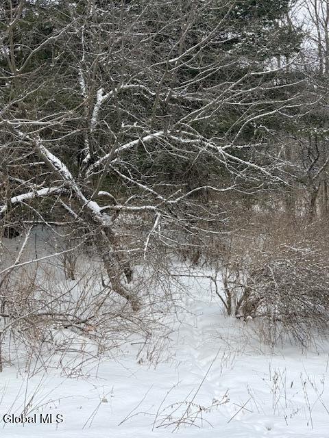 L15.2 Turnpike Road Buskirk, NY 12028 - Photo 11 of 14 IMG_2502