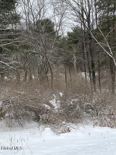 L15.2 Turnpike Road Buskirk, NY 12028 - Photo 12 of 14 IMG_2503