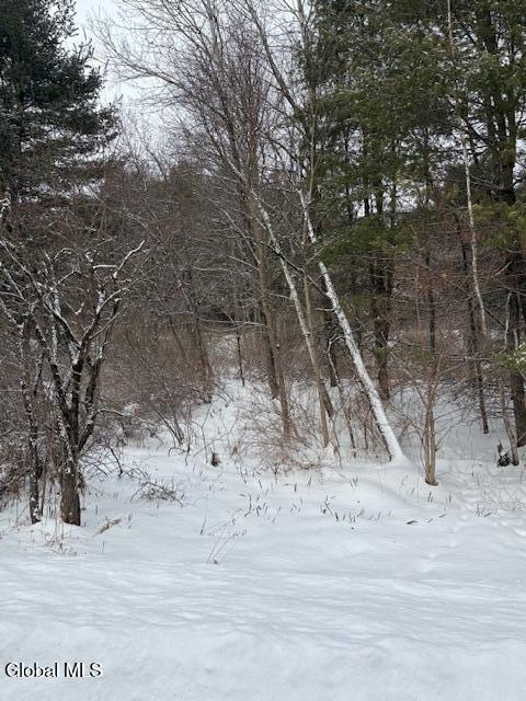 L15.2 Turnpike Road Buskirk, NY 12028 - Photo 13 of 14 IMG_2505