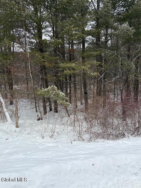 L15.2 Turnpike Road Buskirk, NY 12028 - Photo 14 of 14 IMG_2506