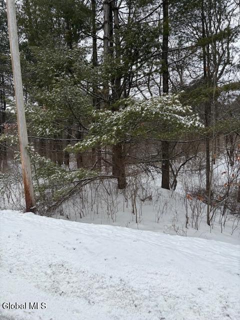 L15.2 Turnpike Road Buskirk, NY 12028 - Photo 4 of 14 IMG_2494