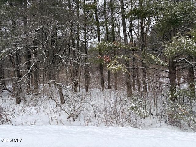 L15.2 Turnpike Road Buskirk, NY 12028 - Photo 5 of 14 IMG_2495