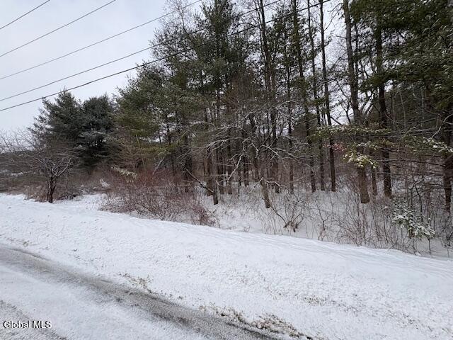 L15.2 Turnpike Road Buskirk, NY 12028 - Photo 6 of 14 IMG_2496