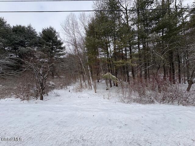 L15.2 Turnpike Road Buskirk, NY 12028 - Photo 7 of 14 IMG_2497