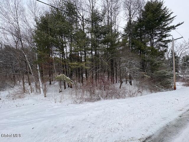 L15.2 Turnpike Road Buskirk, NY 12028 - Photo 8 of 14 IMG_2498