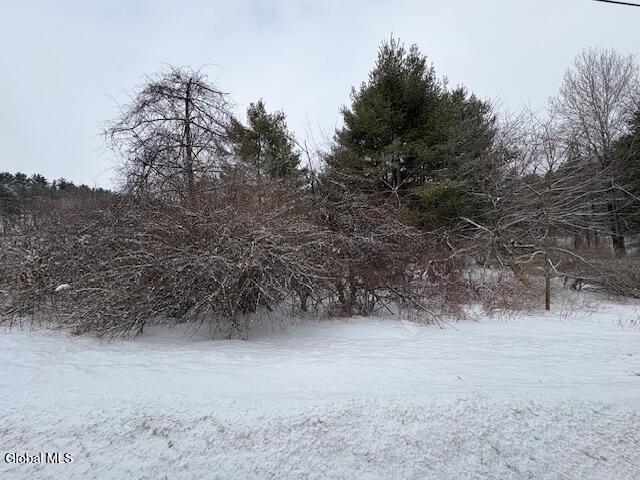 L15.2 Turnpike Road Buskirk, NY 12028 - Photo 9 of 14 IMG_2499