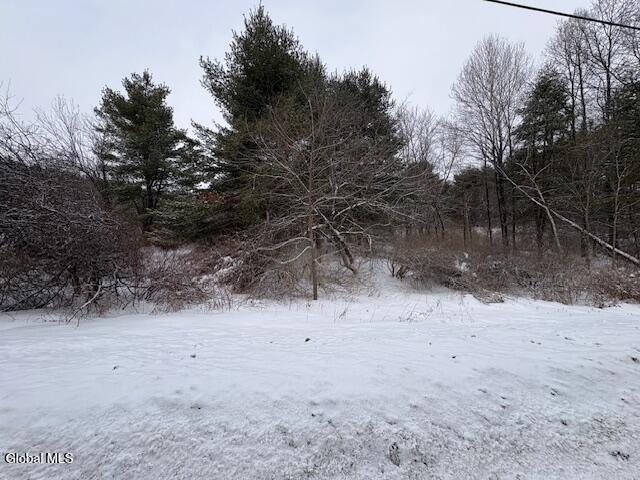 L15.2 Turnpike Road Buskirk, NY 12028 - Photo 10 of 14 IMG_2501