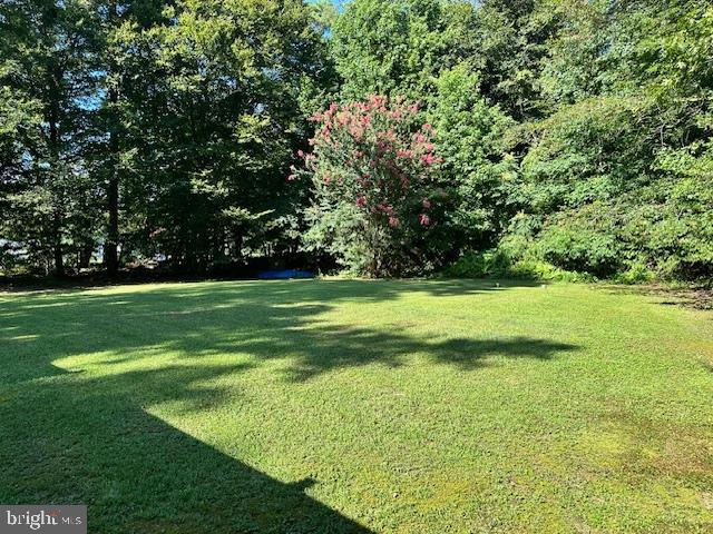 19377 Parsons Road Georgetown, DE 19947 - Photo 12 of 48 Back yard